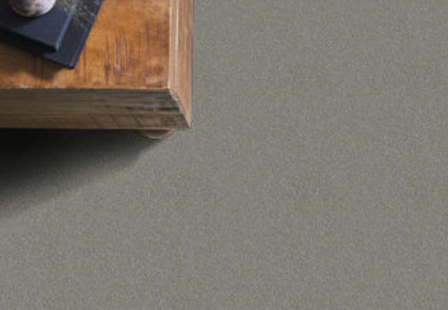 Anderson Tuftex Carpet On Point Tundra - Image 2