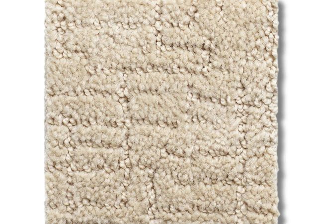 Anderson Tuftex Carpet One More Hour Halo