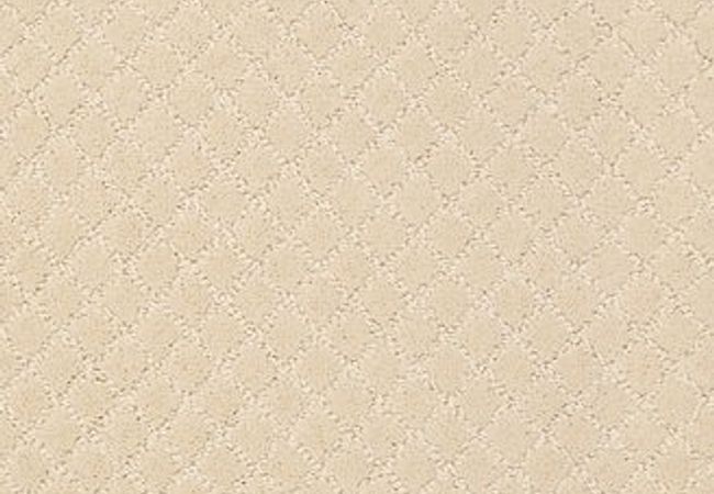 Anderson Tuftex Carpet Pawnache Antiquity