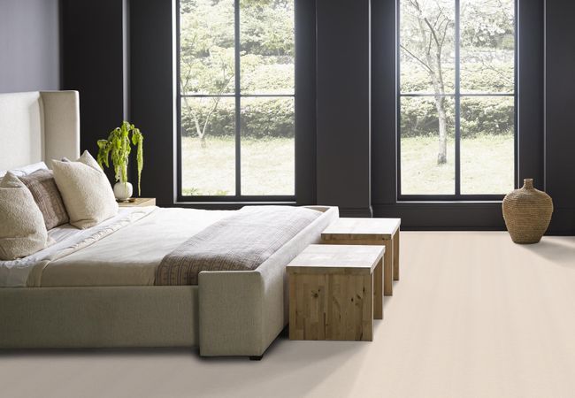 Anderson Tuftex Carpet Pawnache Barely Beige - Image 3