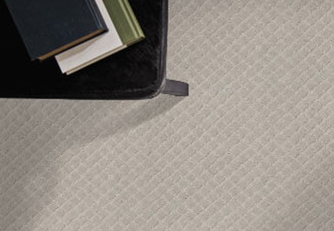 Anderson Tuftex Carpet Pawnache Calm - Image 2