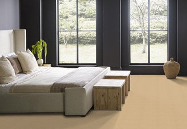Anderson Tuftex Carpet Pawnache Cork - Image 3
