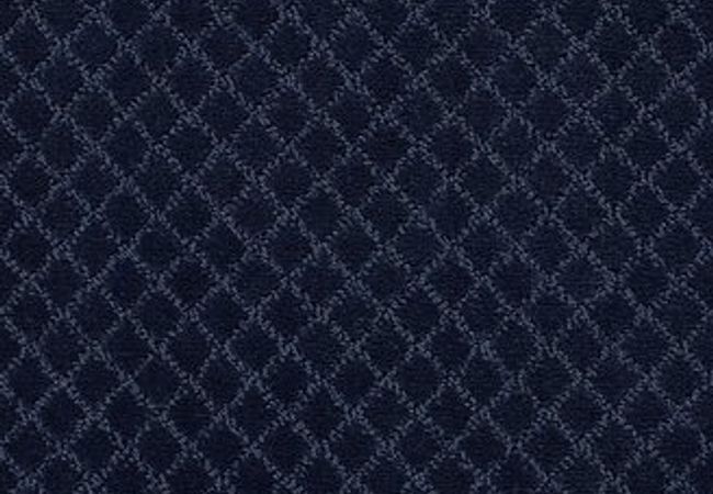 Anderson Tuftex Carpet Pawnache Downpour