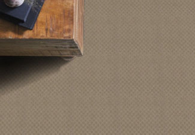 Anderson Tuftex Carpet Pawnache Driftwood - Image 2