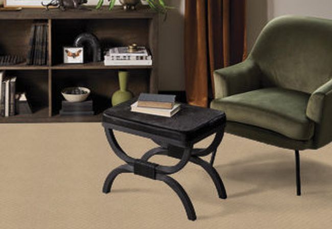 Anderson Tuftex Carpet Pawnache Monterey - Image 2