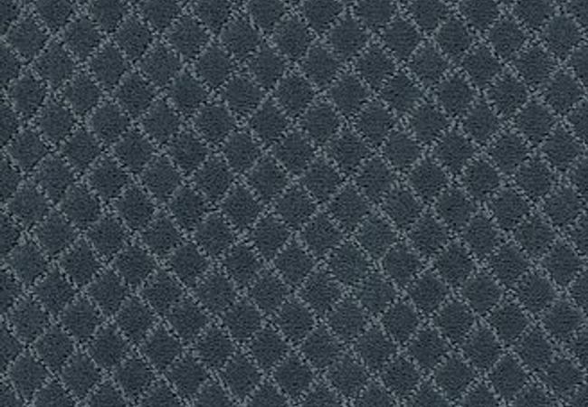 Anderson Tuftex Carpet Pawnache Nimbus