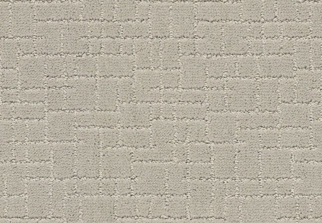 Anderson Tuftex Carpet Pawnache Silver Fox