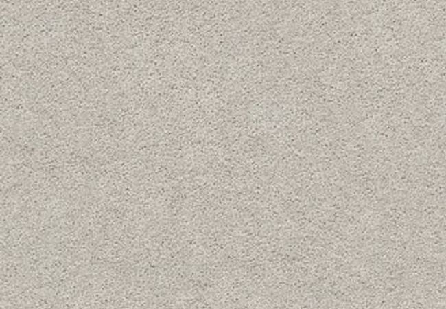 Anderson Tuftex Carpet Pawparazzi I Calm