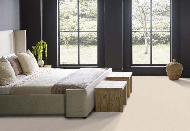 Anderson Tuftex Carpet Pawparazzi I Capri Coast view 3