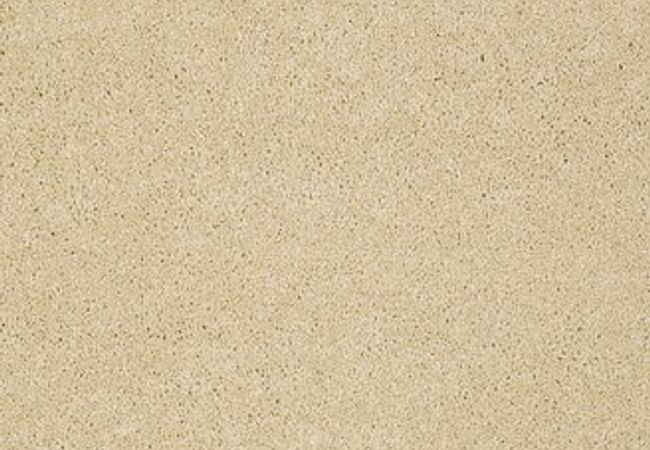 Anderson Tuftex Carpet Pawparazzi I Cork