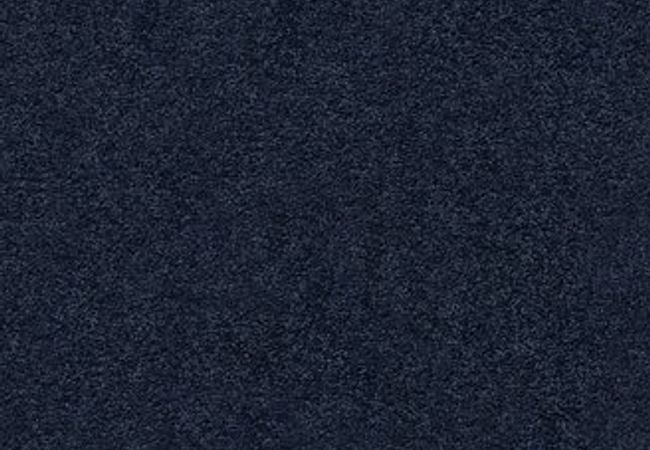 Anderson Tuftex Carpet Pawparazzi I Downpour