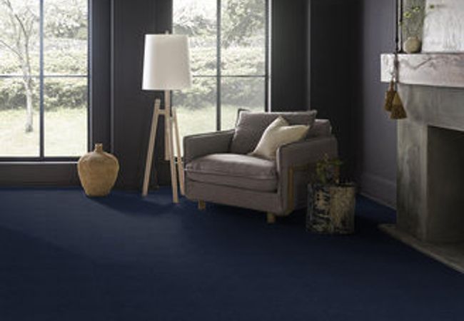 Anderson Tuftex Carpet Pawparazzi I Downpour view 2