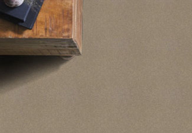 Anderson Tuftex Carpet Pawparazzi I Driftwood view 2