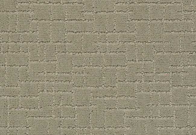 Anderson Tuftex Carpet Pawparazzi I Gray Mirage