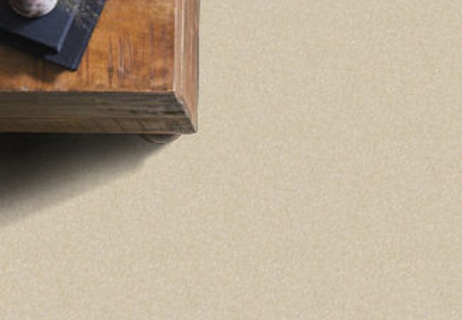 Anderson Tuftex Carpet Pawparazzi I Hazelnut view 2