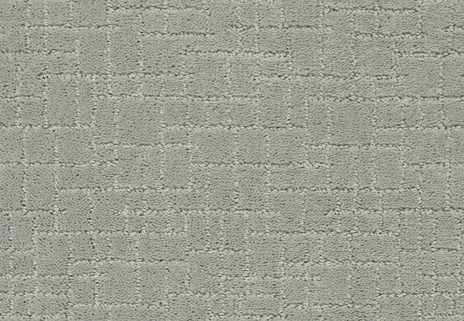 Anderson Tuftex Carpet Pawparazzi I Misty Lake