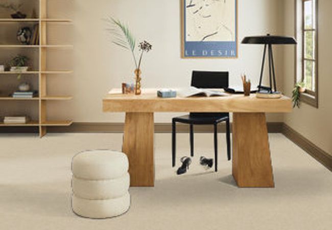 Anderson Tuftex Carpet Pawparazzi I Monterey view 2