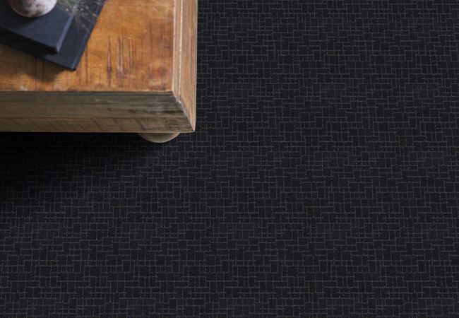 Anderson Tuftex Carpet Pawparazzi I Night Shade view 2