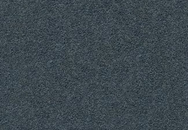 Anderson Tuftex Carpet Pawparazzi I Nimbus