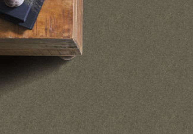 Anderson Tuftex Carpet Pawparazzi I Overcoat view 2