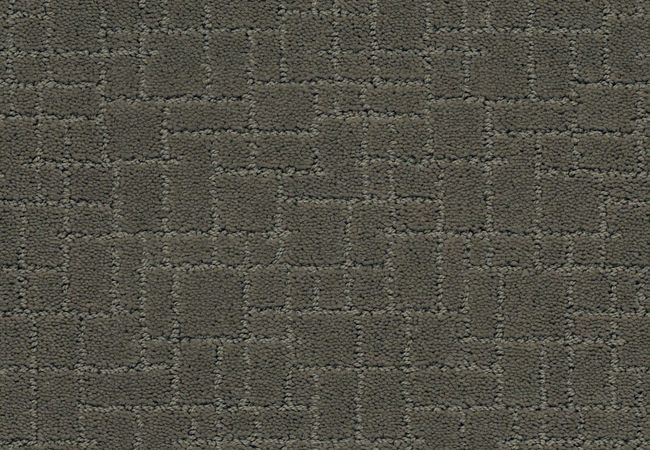 Anderson Tuftex Carpet Pawparazzi I Smoked Oyster