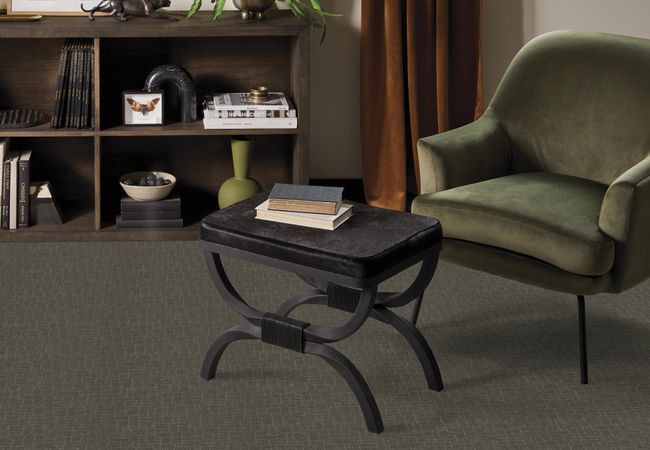 Anderson Tuftex Carpet Pawparazzi I Smoked Oyster view 2