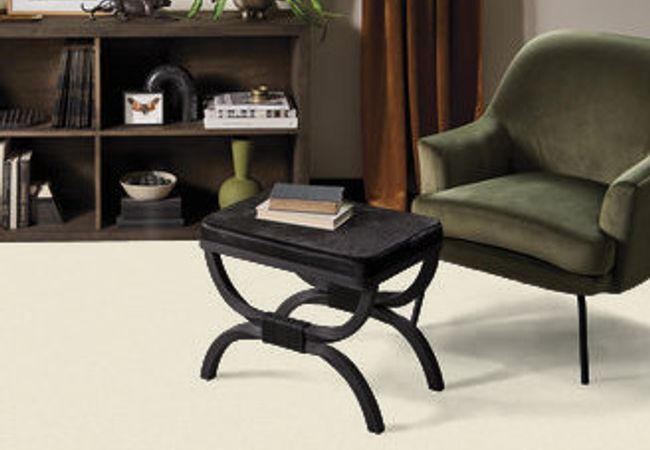 Anderson Tuftex Carpet Pawparazzi II Antiquity view 2