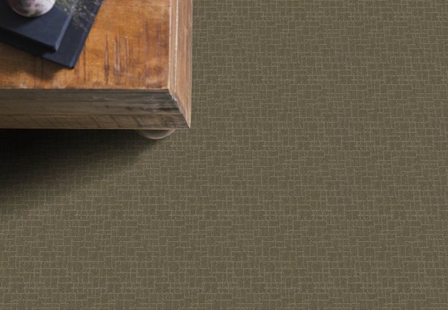 Anderson Tuftex Carpet Pawparazzi II Dry Sage view 2