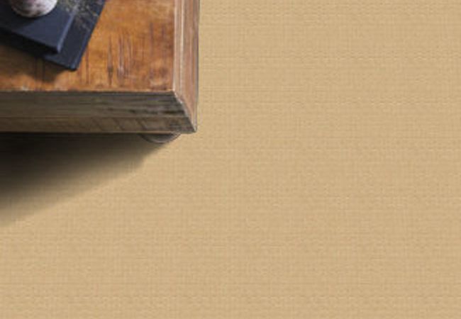 Anderson Tuftex Carpet Pawstruck Cork view 2