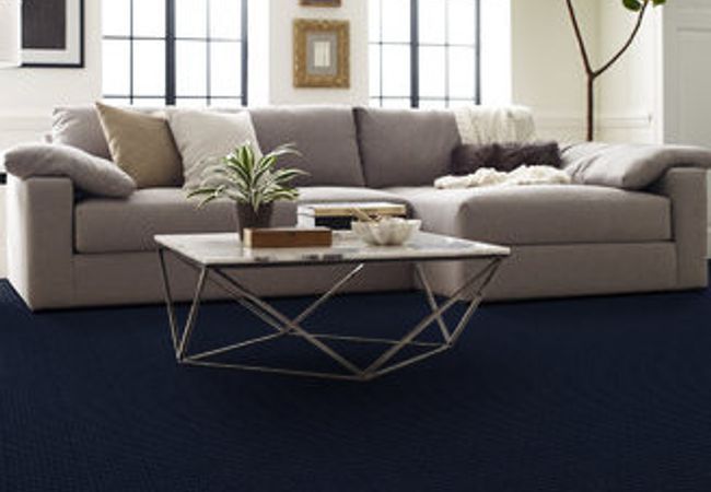 Anderson Tuftex Carpet Pawstruck Downpour view 2