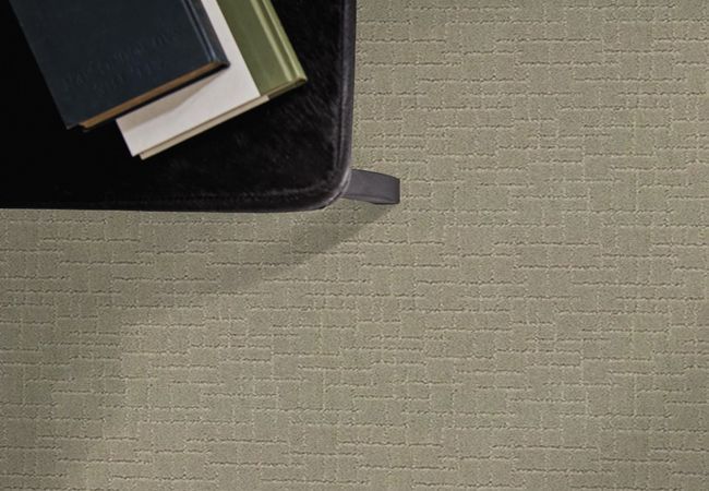 Anderson Tuftex Carpet Pawstruck Gray Mirage view 2