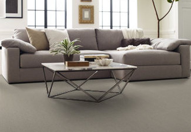 Anderson Tuftex Carpet Pawstruck Meditation view 2