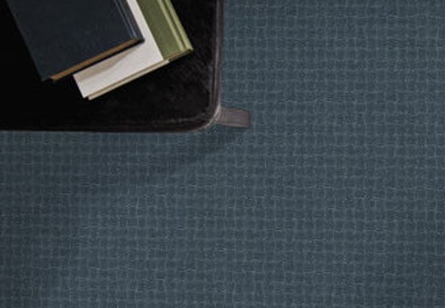 Anderson Tuftex Carpet Pawstruck Nimbus view 2