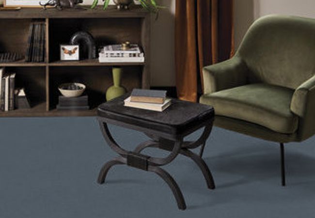 Anderson Tuftex Carpet Perfect Choice Chambray view 2