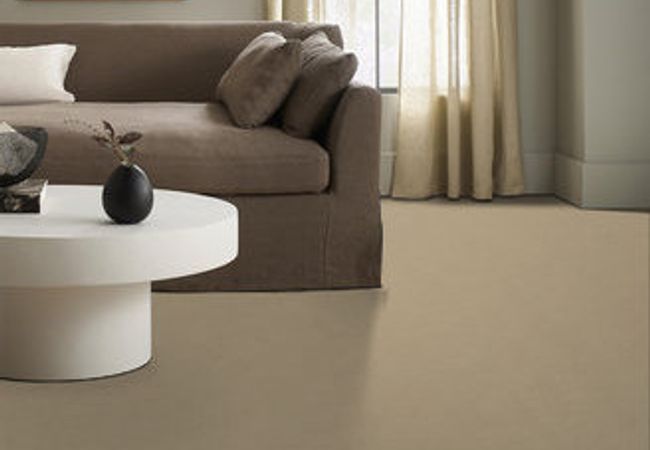 Anderson Tuftex Carpet Perfect Choice Hiking Trail view 2