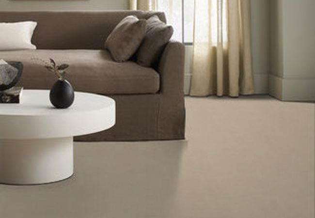 Anderson Tuftex Carpet Perfect Choice Pashmina view 2