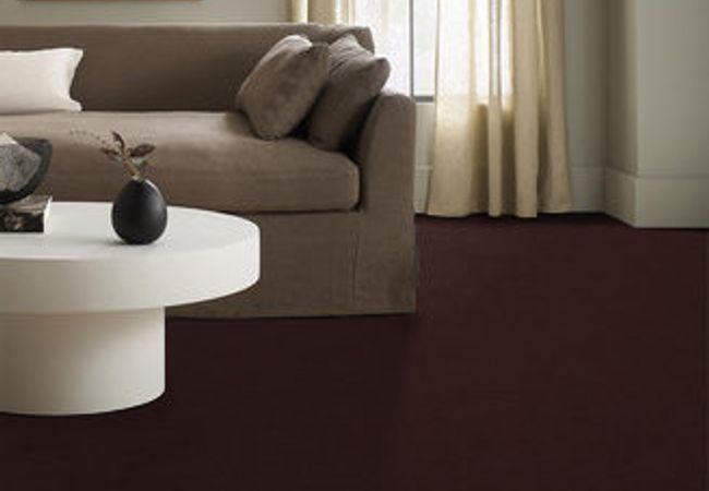 Anderson Tuftex Carpet Perfect Choice Root Beer view 2