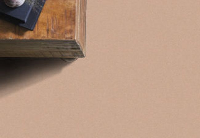 Anderson Tuftex Carpet Perfect Choice Rose Cider view 2