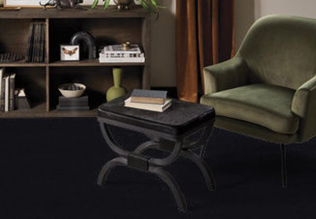 Anderson Tuftex Carpet Perfect Choice Tuxedo view 2