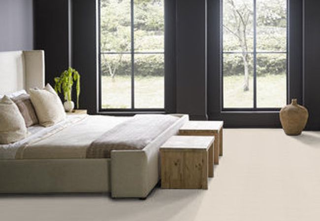 Anderson Tuftex Carpet Pose Aria view 3