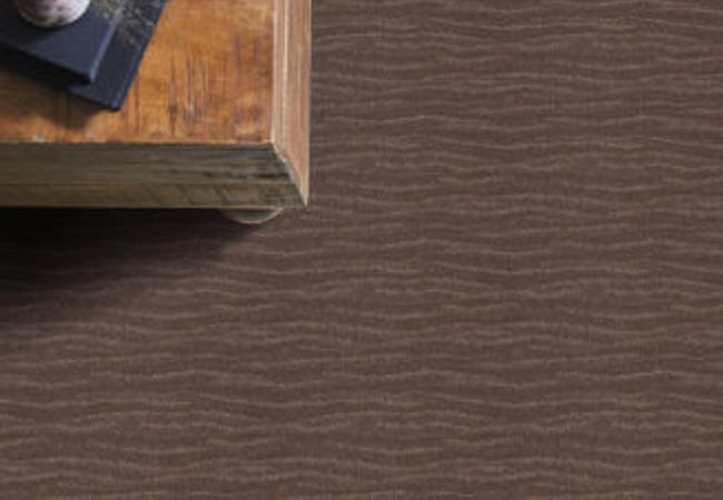 Anderson Tuftex Carpet Pose Chantrelle view 2