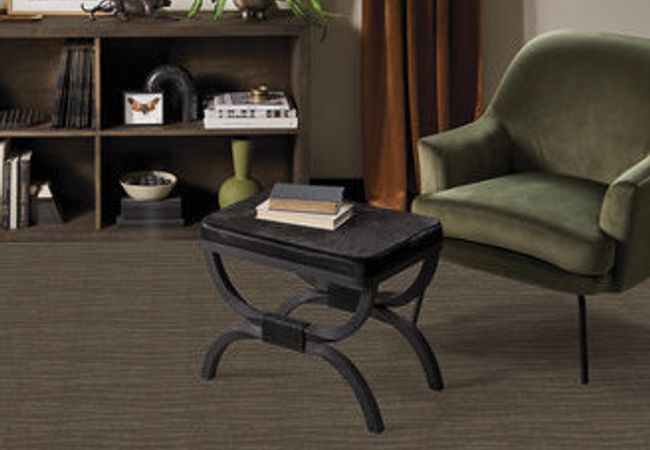 Anderson Tuftex Carpet Pose Dash view 2