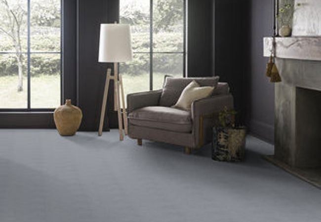 Anderson Tuftex Carpet Pose Edgewater view 2