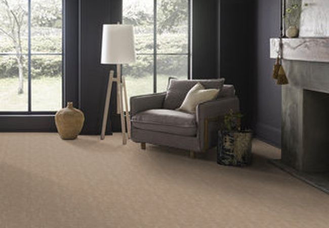 Anderson Tuftex Carpet Private Retreat Birchwood view 2