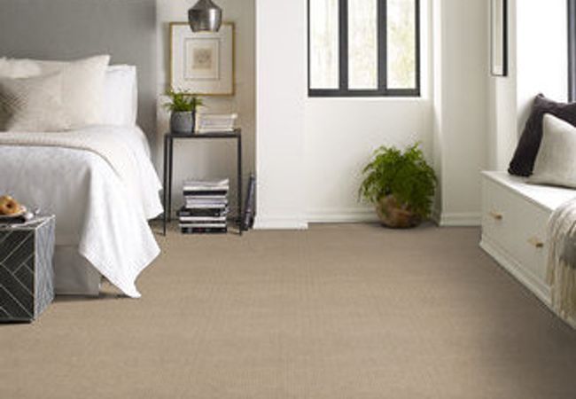 Anderson Tuftex Carpet Purrfection Great Plains view 2