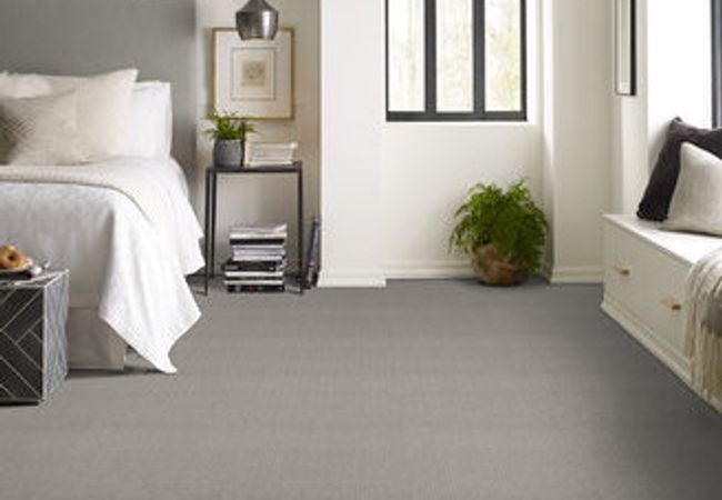 Anderson Tuftex Carpet Purrfection Platinum view 2
