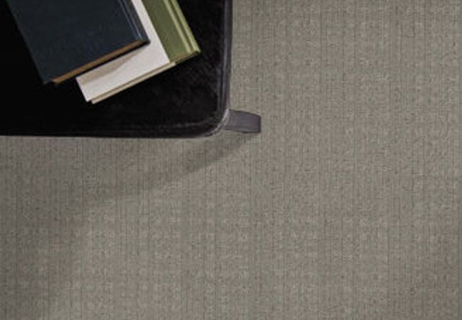 Anderson Tuftex Carpet Purrsuasion Backdrop view 2