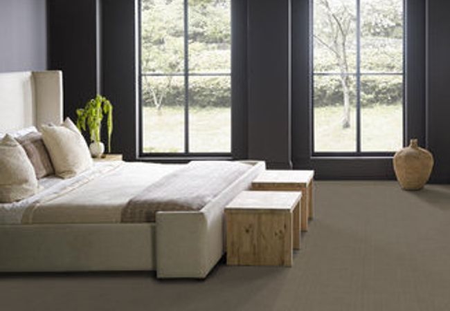 Anderson Tuftex Carpet Purrsuasion Craftsman view 3