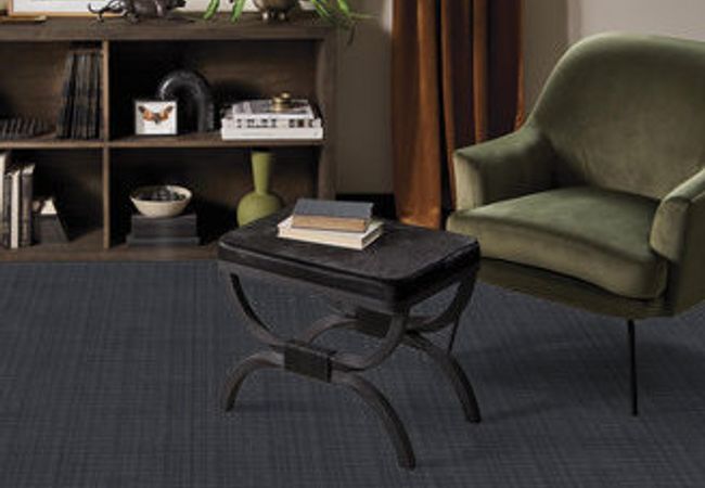 Anderson Tuftex Carpet Purrsuasion Leisure view 2