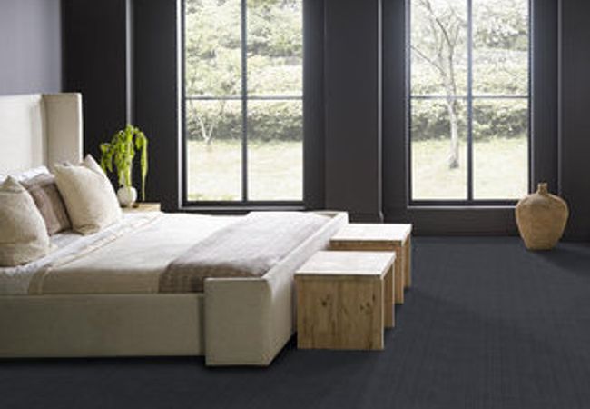 Anderson Tuftex Carpet Purrsuasion Leisure view 3